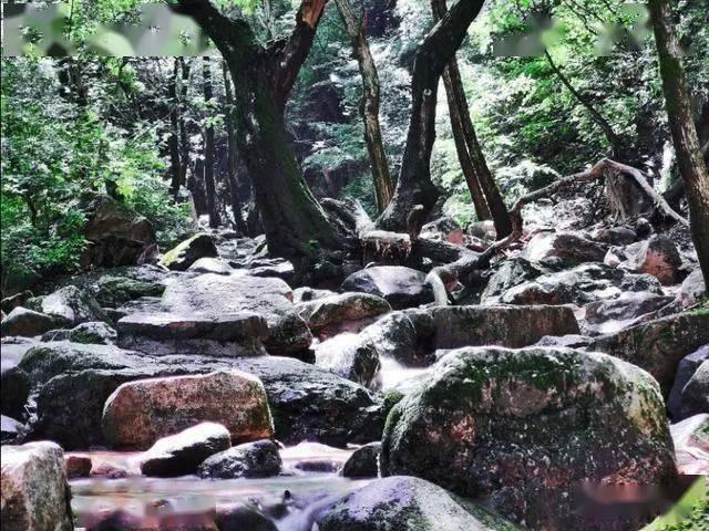 拳击俱乐部