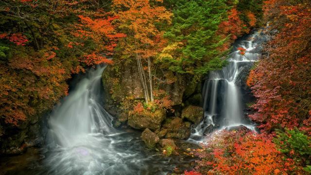 2011年，江西弃婴靠雨水在太平间存活八天八夜，迎来10位爱心爸爸